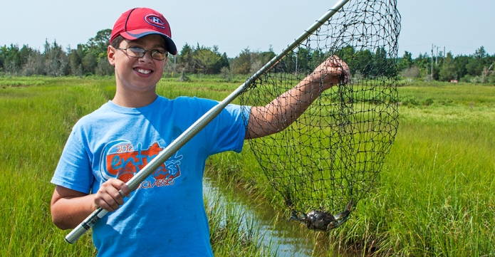 2015-08-25-catching-blue-crabs-featured.jpg